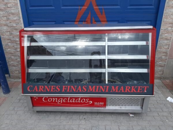 NEVERA CARNICOS CON DIVISIÓN - Imagen 3