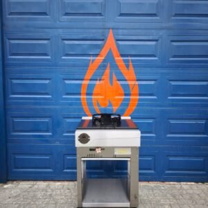 WOK INDUSTRIAL DE 1 PUESTO