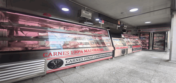 NEVERA CARNICERA CON BODEGA DE CONGELACIÓN - Imagen 2